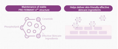 MISSHA Time Revolution Night Ampoule & Cream Duo Set