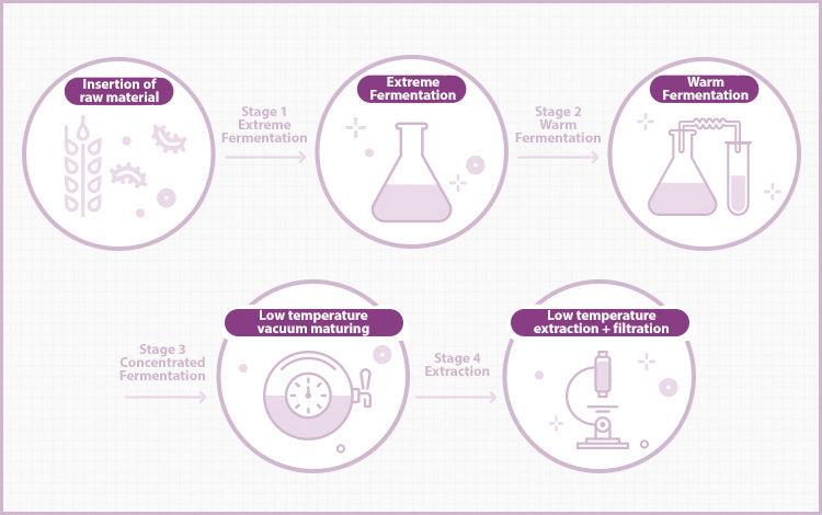 MISSHA Time Revolution Night Ampoule & Cream Duo Set