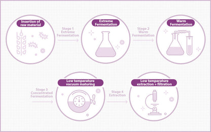 MISSHA Time Revolution Night Ampoule & Cream Duo Set