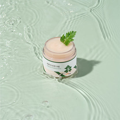 Round Lab Mugwort Calming Cream 80ml
